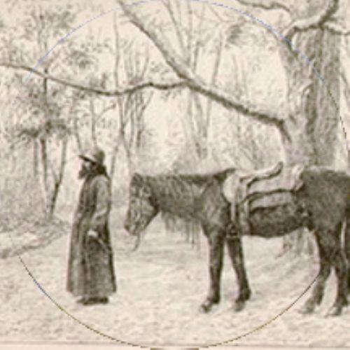 История